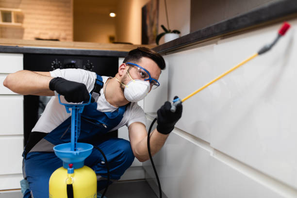 Best Bed Bug Extermination  in Lake Camelot, WI