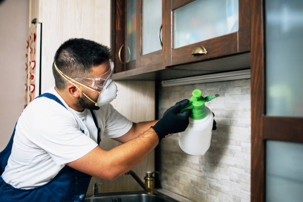 Best Mosquito Control Services  in Lake Camelot, WI