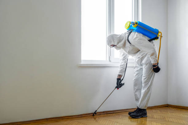 Best Pest Control for Businesses  in Lake Camelot, WI