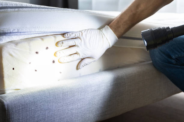 Best Commercial Pest Control Services  in Lake Camelot, WI
