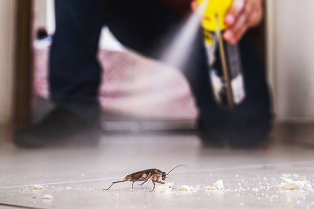 Best Local Pest Control Services  in Lake Camelot, WI