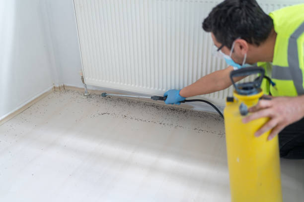 Best Affordable Pest Control Services  in Lake Camelot, WI
